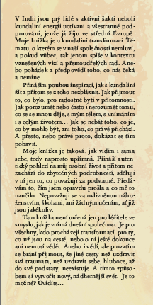 Cesta lecitelky anotace